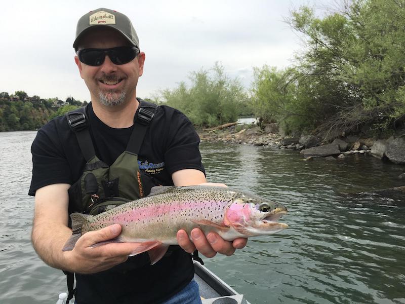 lower sacramento river trout fly fishing