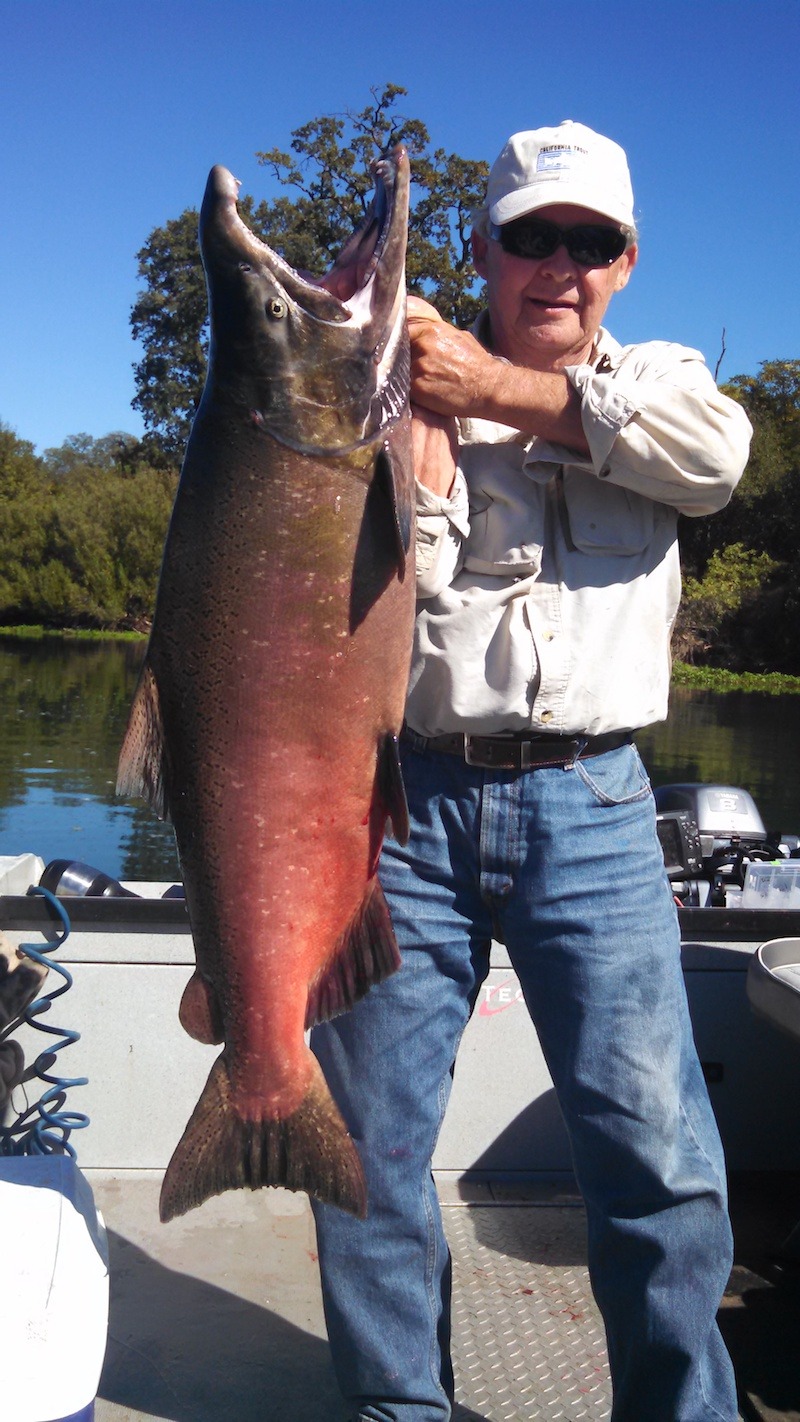 sacramento river salmon fishing guide