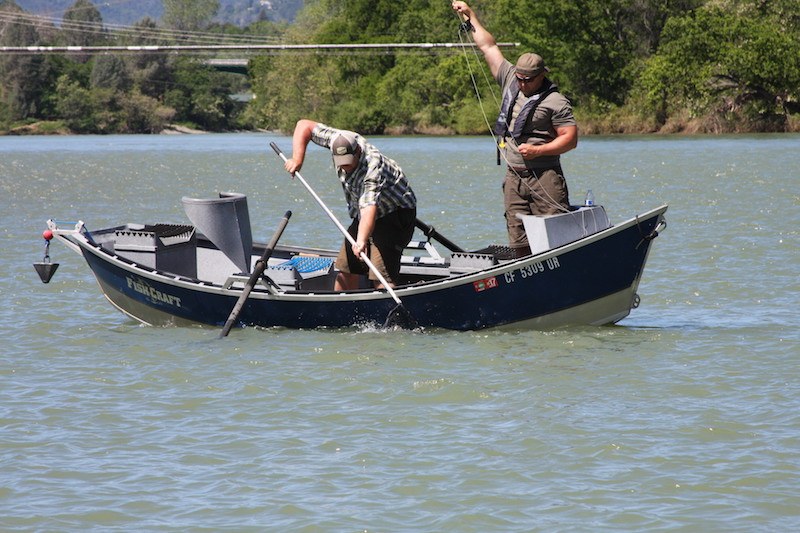 lower sacramento river fly fishing guide