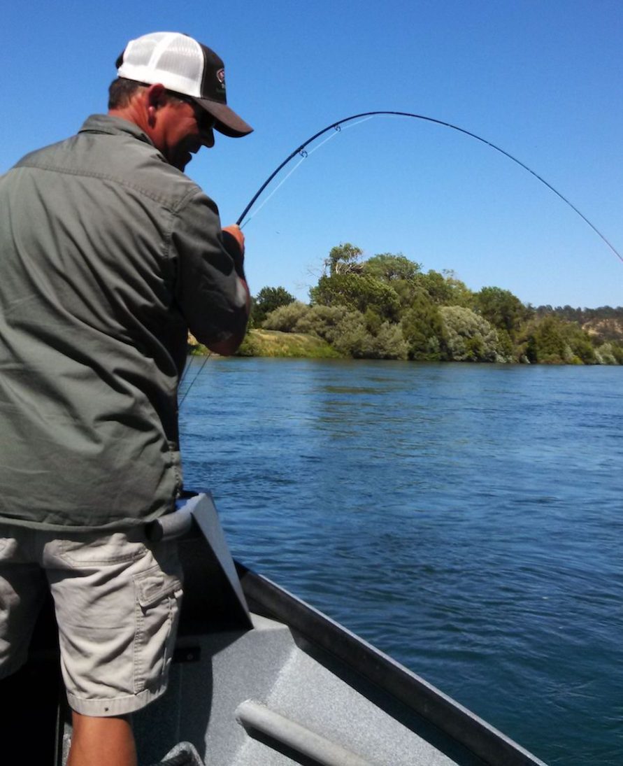 fly fishing guide lower sacramento river