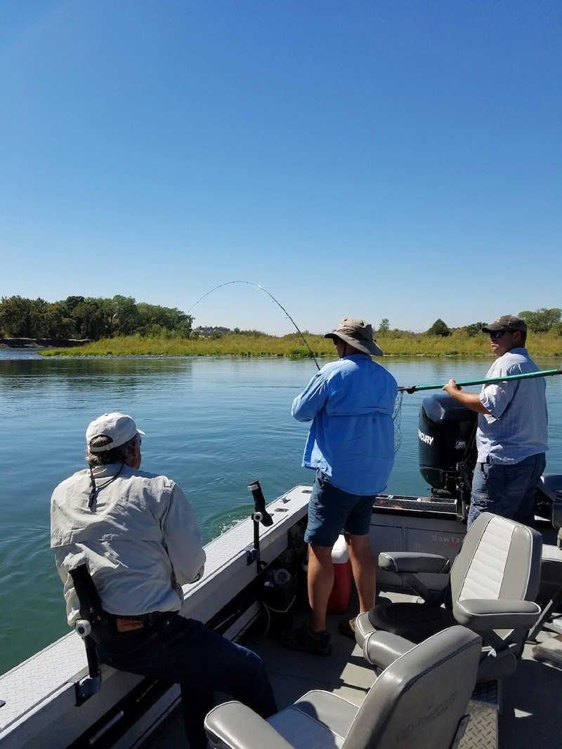 sacramento river salmon fishing guide