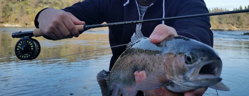 fly fishing the sacramento river