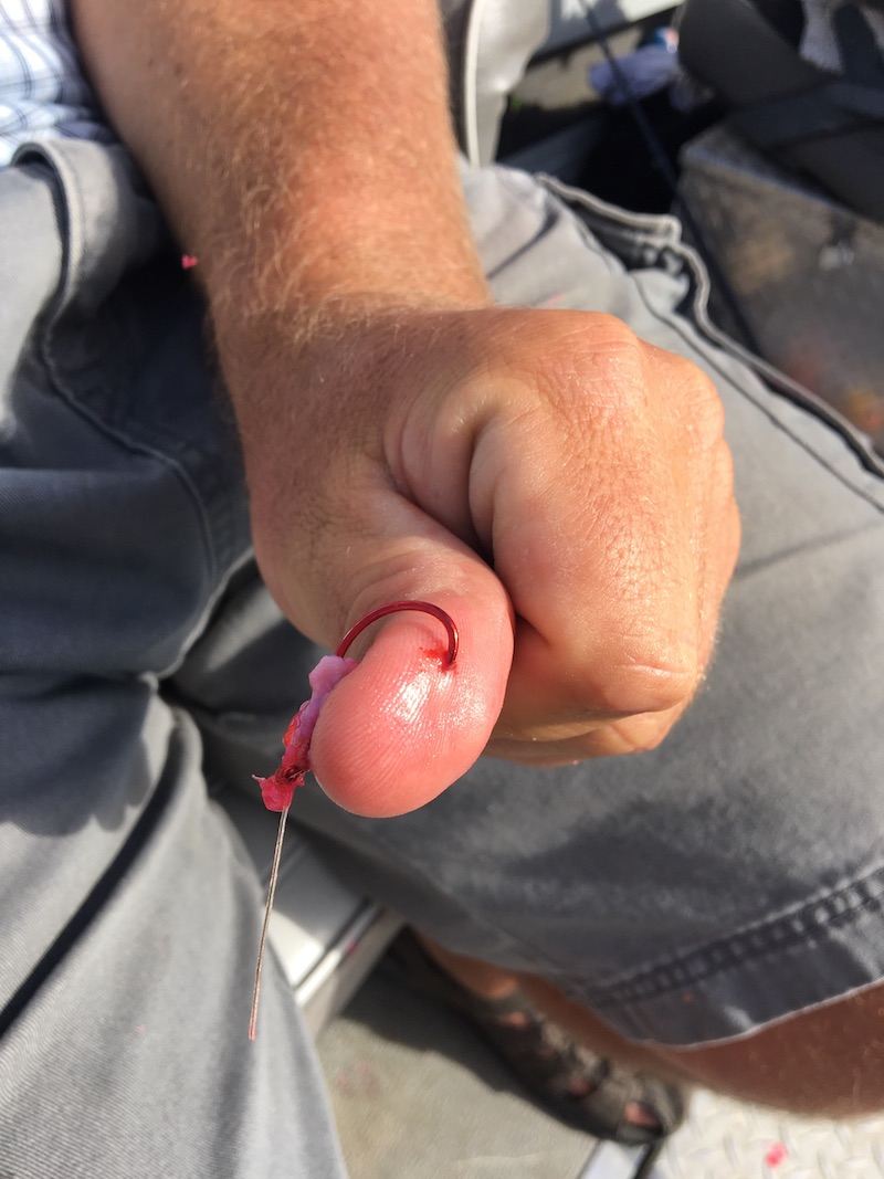 sacramento river salmon fishing guide