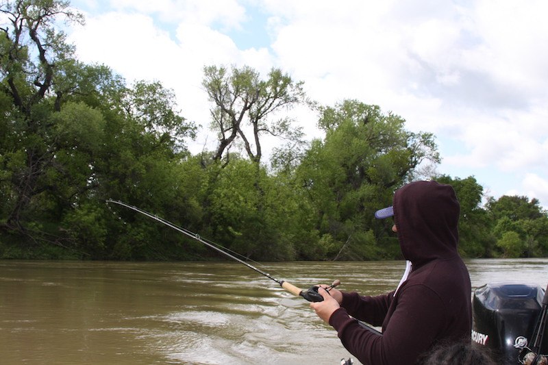 sacramento river striper fishing guide