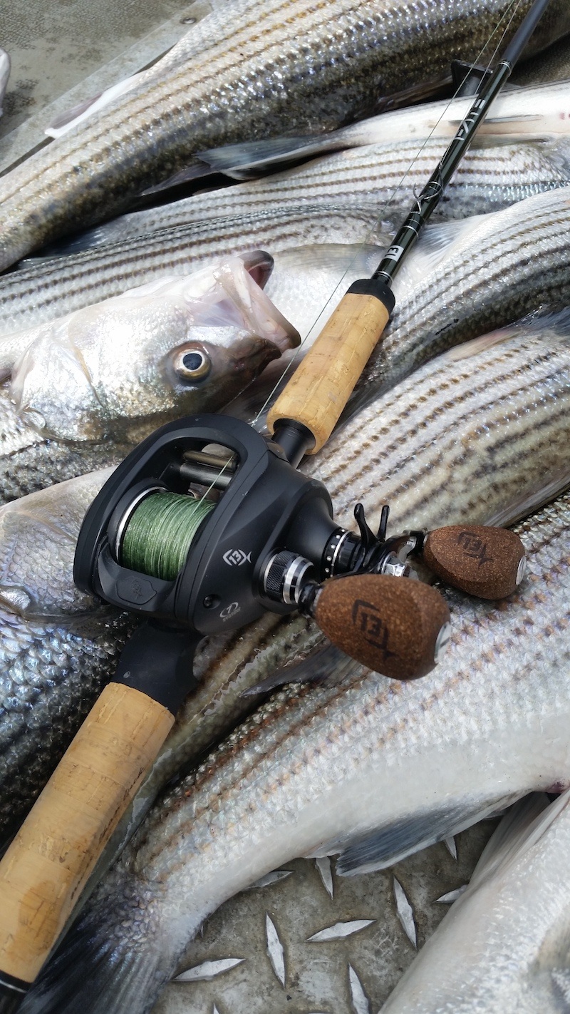 sacramento river striper fishing guide