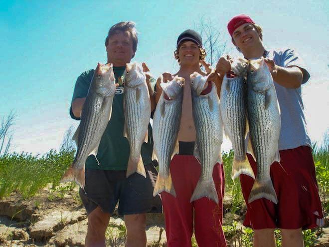 Striper Fishing | River Pursuit Guide Service