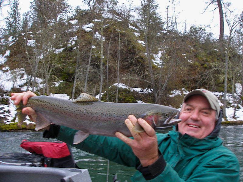trinity river steelhead fishing guide