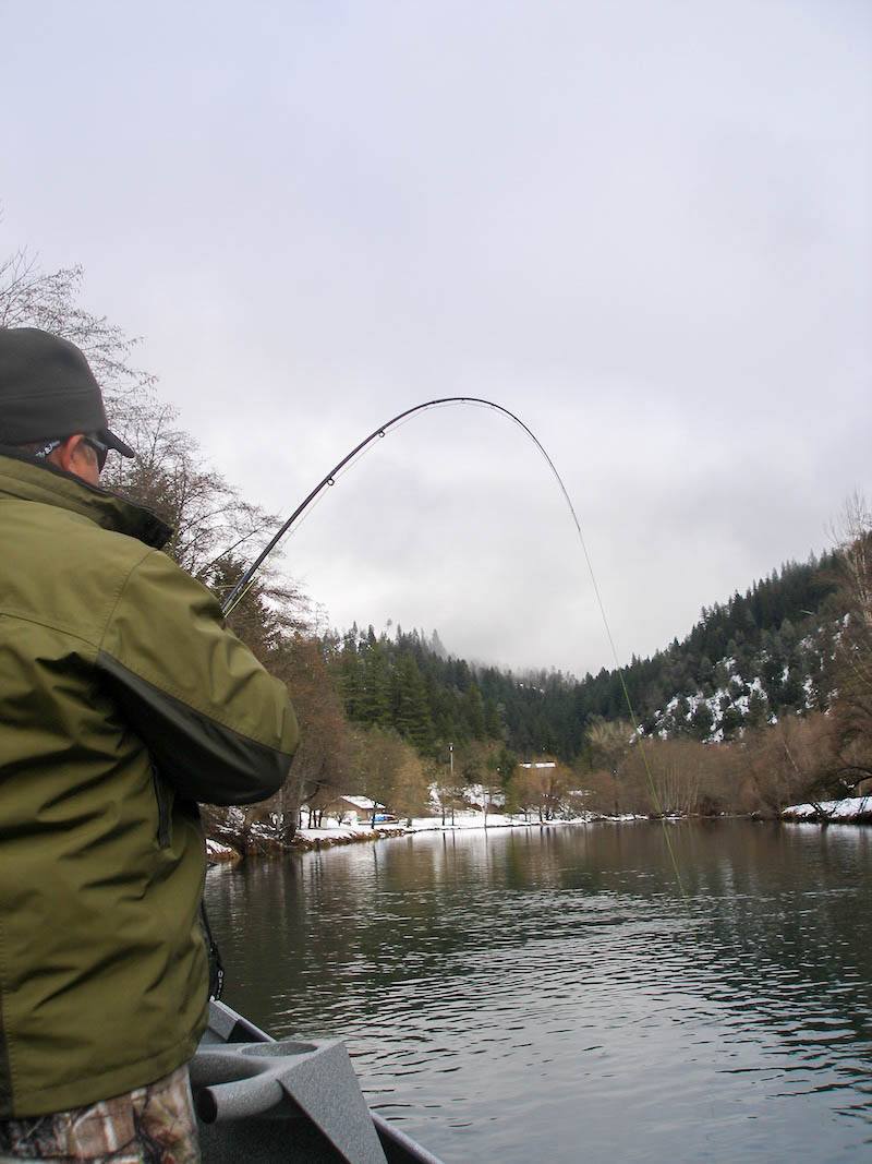 trinity river steelhead fishing guide