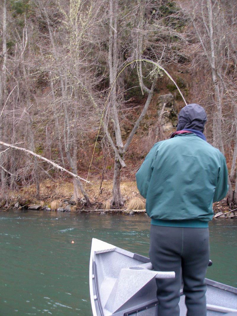 trinity river fly fishing guide steelhead
