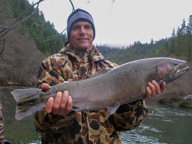 trinity river fishing guide steelhead