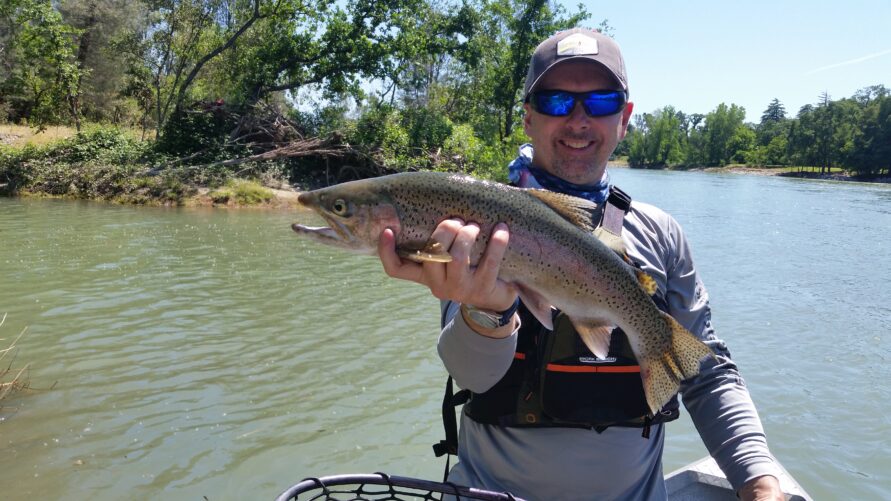 sacramento river wild trout