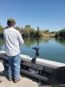 reeling in a huge sacramento river salmon