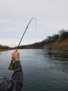 lower sacramento fly fishing with strike indicators