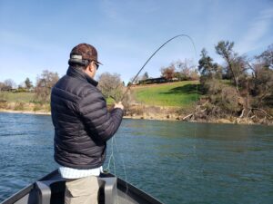 fly fishing for sacramento river trout