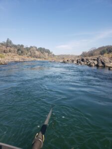 drifting the sacramento river in red bluff