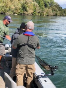 netting a large salmon