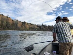 fly fishing for trout near redding ca