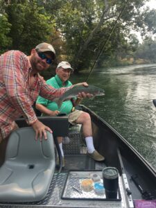 fly fishing for sacramento river trout